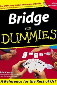Bridge for dummies