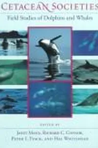 Cetacean societies