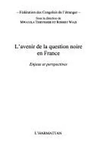 L'avenir de la question noire en France