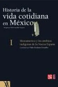 Historia De La Vida Cotidiana En Mexico