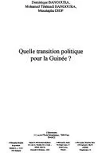 Quelle transition politique pour la Guinée?