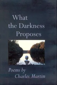 What the darkness proposes