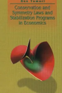 Conservation and symmetry laws and stabilization programs in economics
