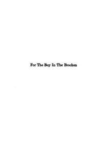 Cover of The boy who knew what the birds said by Padraic Colum