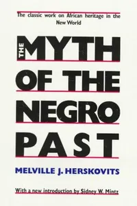 The myth of the Negro past