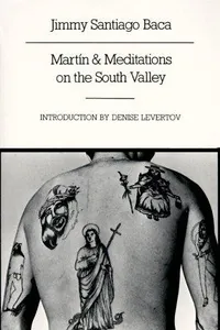Martín & Meditations on the South Valley