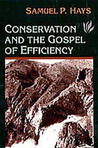 Conservation and the gospel of efficiency