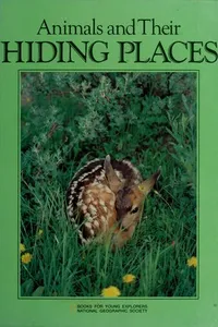 Animals and their hiding places