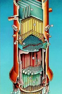 Simulation of Transients following a Turbine Trip in Boiling Water  Reactors BWR by analog techniques
