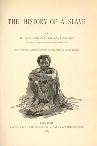 The history of a slave