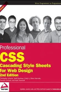 Professional CSS