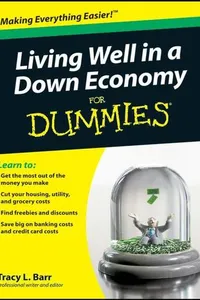 Living Well in a Down Economy For Dummies®