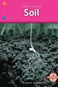Capa de Soil