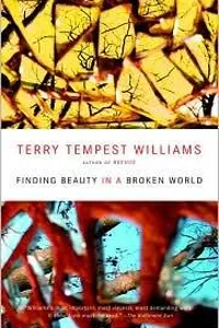 Finding beauty in a broken world