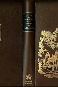 Histoire de La Neuveville