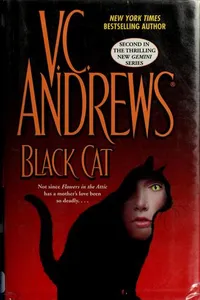 Black cat