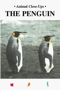 The penguin, a funny bird