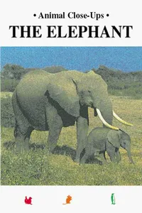 The elephant, peaceful giant