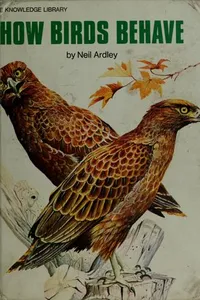 How birds behave