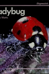 Ladybug