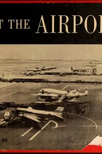 At the airport