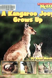 A Kangaroo joey grows up