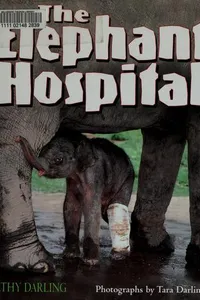 The Elephant Hospital