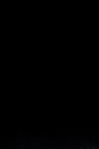 Dr. Martens Airwair with bouncing soles