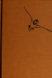 Clarion the killdeer