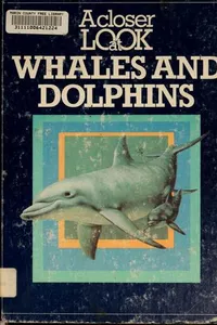 A closer look at whales and dolphins