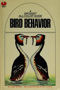 Bird behavior