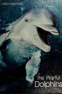 The playful dolphins