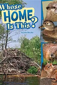 Whose home is this?