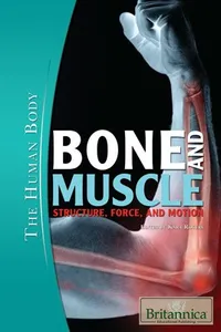 Bone and muscle