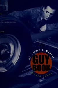 Capa de The Guy Book