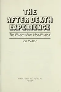 The after death experience