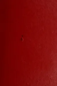 The secret life of cosmetics