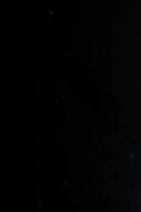 Demi's dragons and fantastic creatures