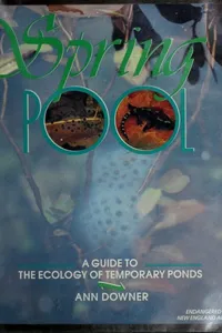 Spring pool