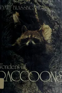 Wonders of raccoons
