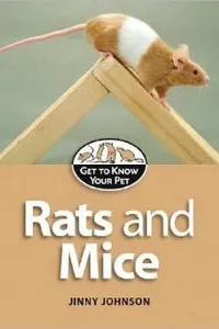 Rats and mice
