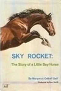 Sky rocket