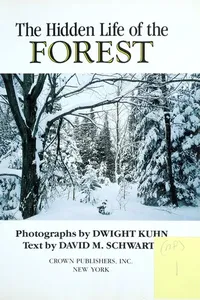 The hidden life of the forest