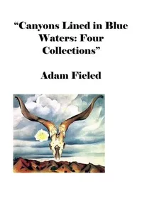 Canyons Lined in Blue Waters