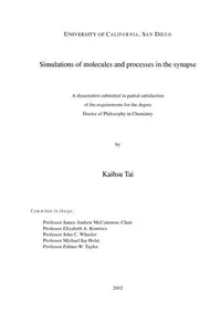 Simulations of molecules and processes in the synapse