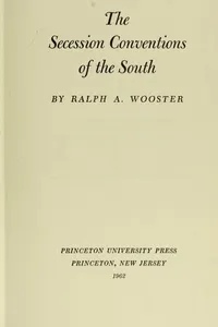 The secession conventions of the South