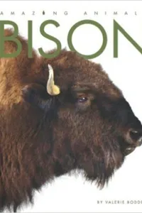 Capa de Bison
