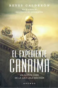 El expediente canaima