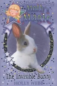 The Invisible Rabbit