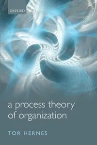 A Process Theory Of Organization